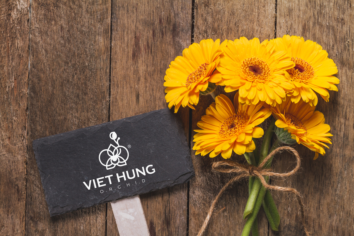 VietHung_thiet_ke_Logo_chuyen_nghiep_gia_tot_10