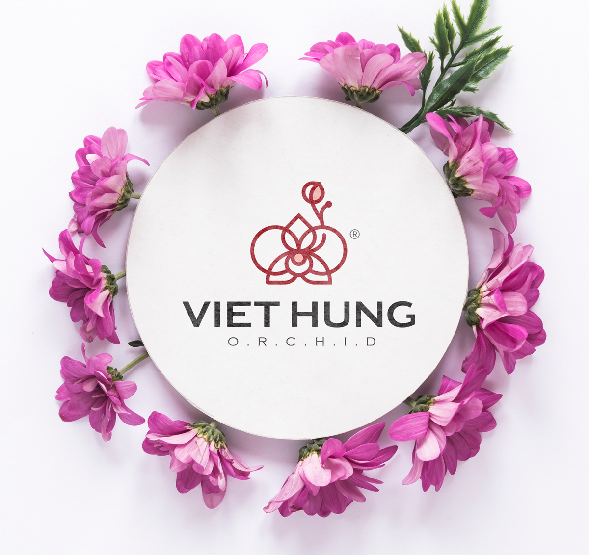 VietHung_thiet_ke_Logo_chuyen_nghiep_gia_tot_6